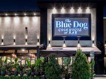 The Blue Dog Boca